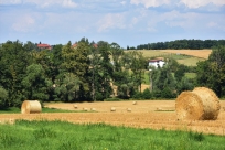 Żniwa w gminie Goleszów